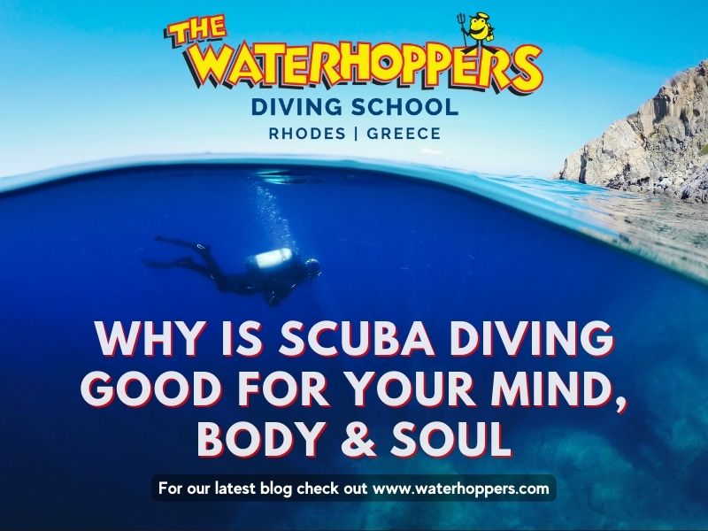Why Is Scuba Diving Good For your MInd & Body